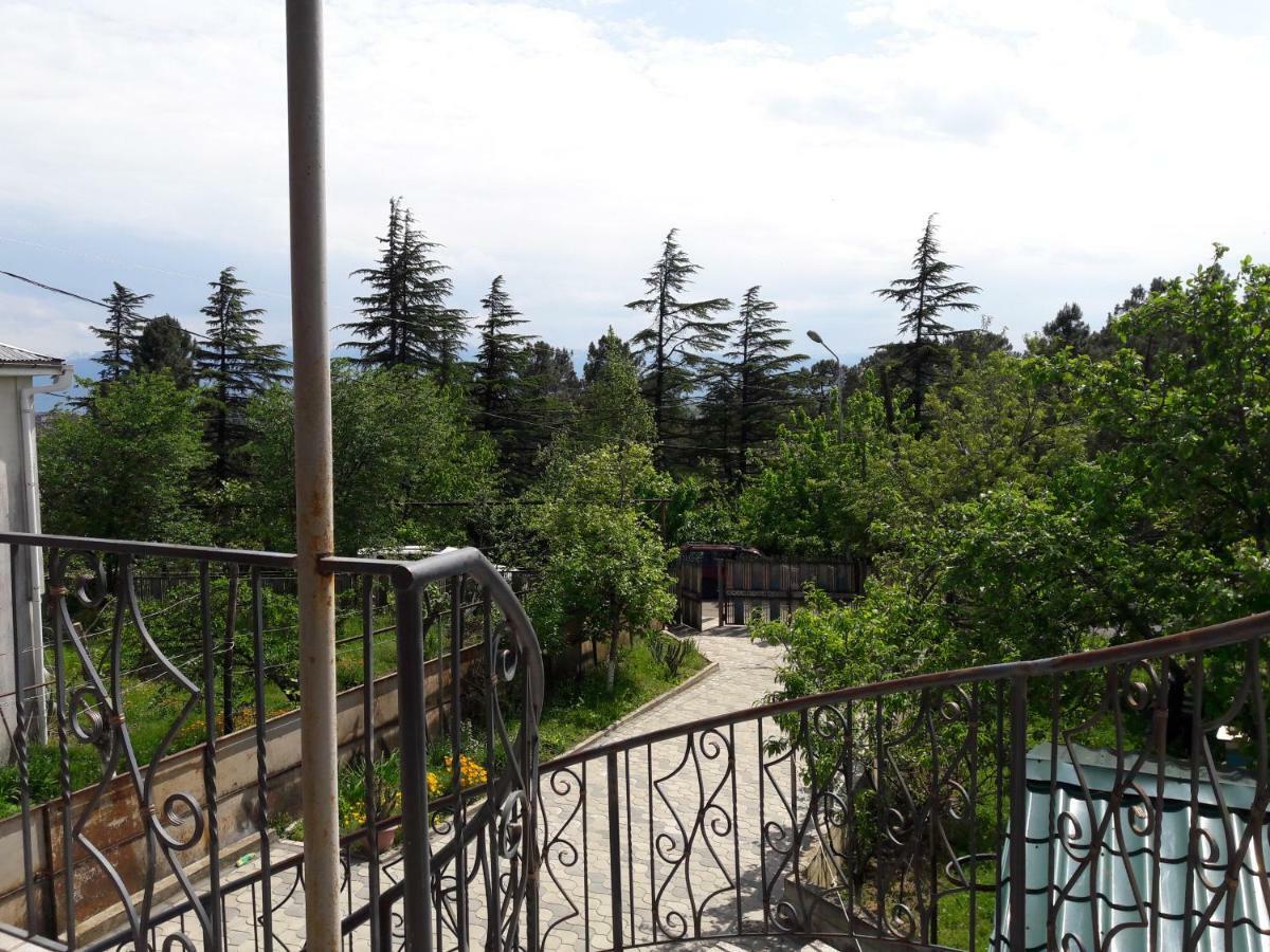 Sataplia District Hotel Kutaiszi Kültér fotó