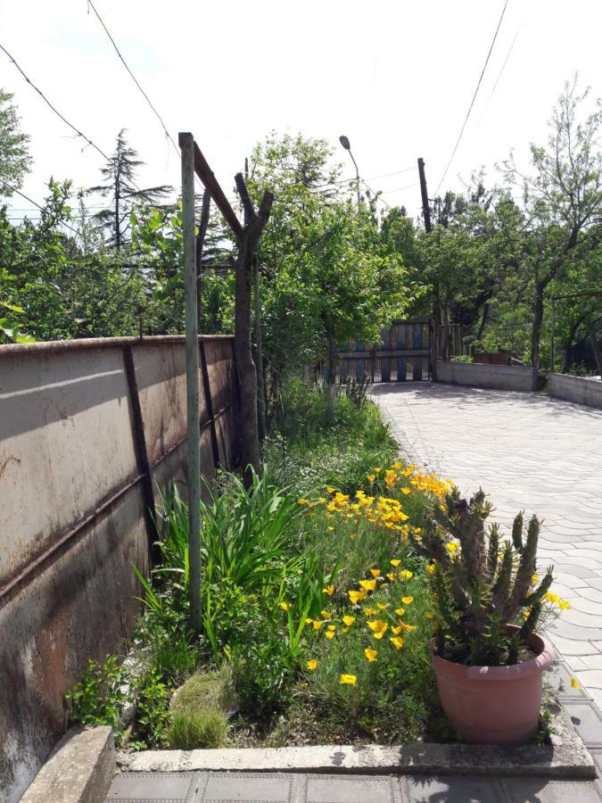 Sataplia District Hotel Kutaiszi Kültér fotó